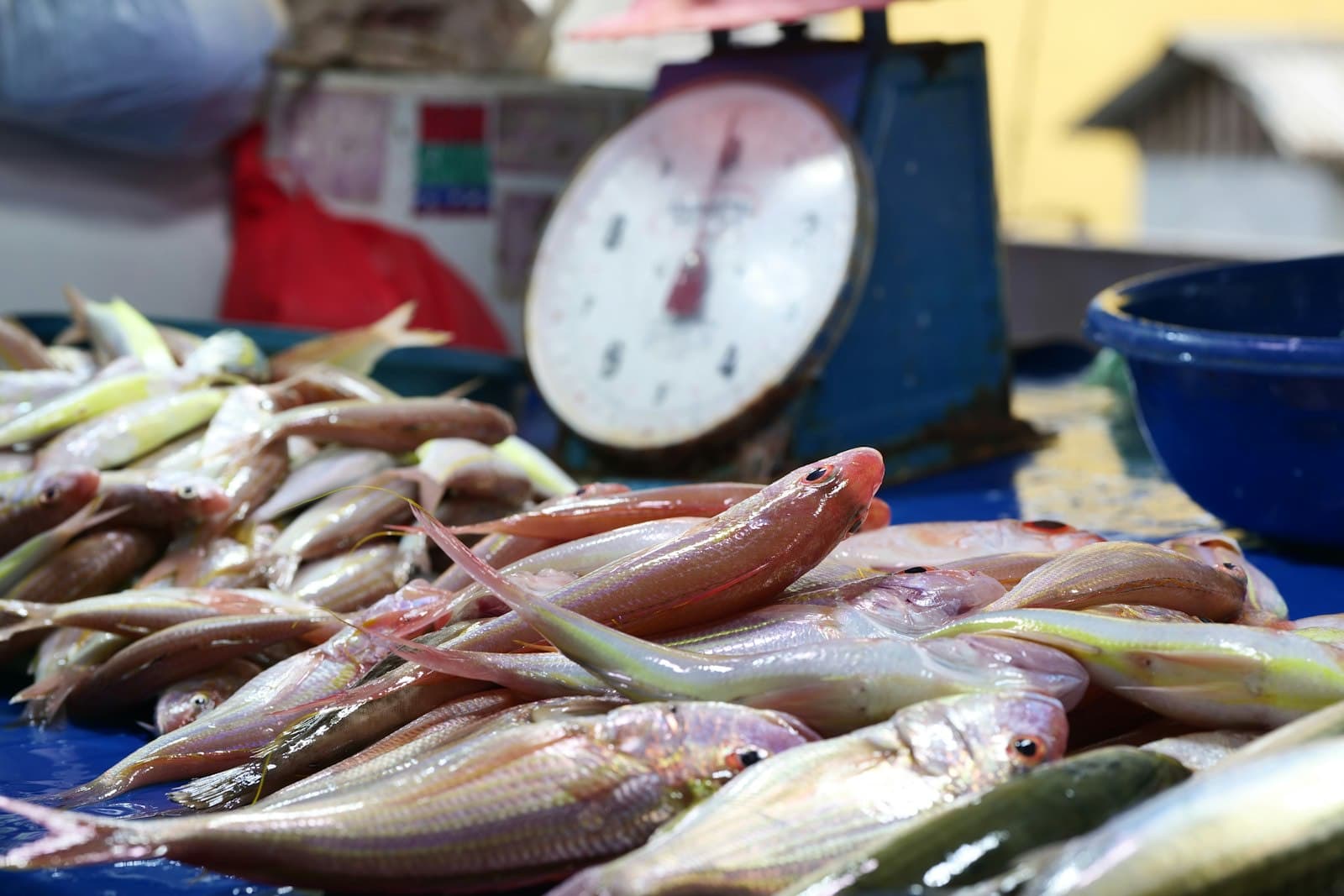 Fresh red fish piled beside a weighing scale at a fish market stall in the Philippines